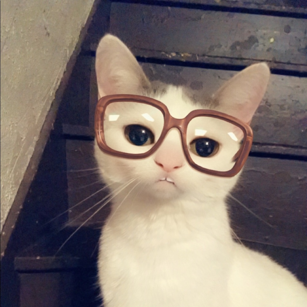 Meet your Posher, Joseline